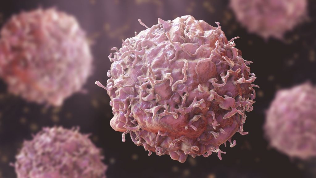 Blocked blood flow accelerates cancer growth — Study
