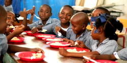 FG to feed 50 million primary school pupils in 2026 – NSIPA