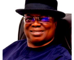 DD Microfinance Bank: From N5.4m Deficit to N10bn Balance Sheet — Enajamo-Isire