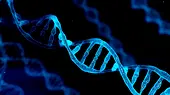 People Talk: On report that one in four Nigeria fathers are not biological parents.