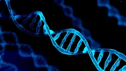 People Talk: On report that one in four Nigeria fathers are not biological parents.