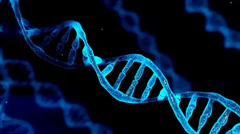 People Talk: On report that one in four Nigeria fathers are not biological parents.