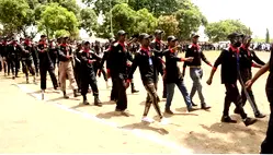 Kano forest security receives 145 crime complaints in August