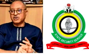 Court declares Pat Utomi’s shadow govt illegal