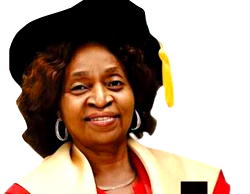 Revamped tax policy to place Nigeria amongst 50 top economies — Tax professor, Teju Somorin
