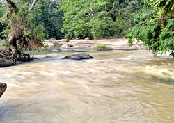 Man vanishes in a river while bathing at midnight