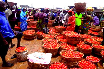 Firm urges local market agencies to uphold international standards
