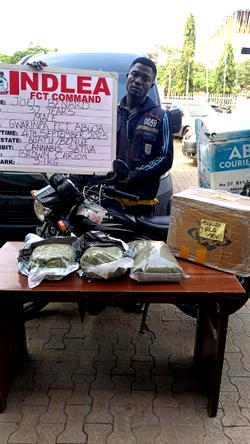 NDLEA smashes international drug cartel, nabs 3 kingpins