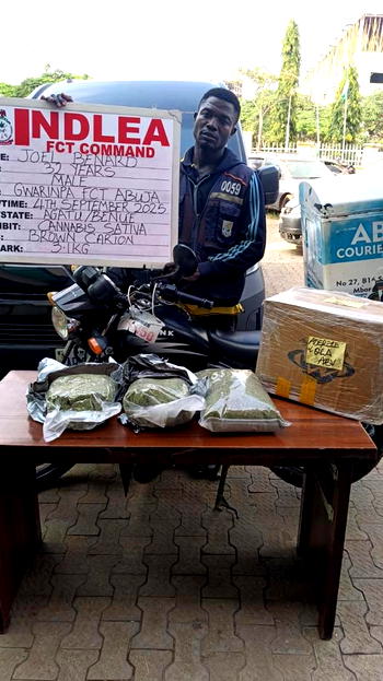 NDLEA smashes international drug cartel, nabs 3 kingpins