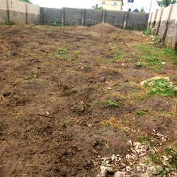 Abia farmer cries out as cows destroy crops, farmland