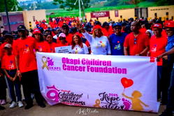 Childhood cancer care: Omonisi demands more registries, higher funding