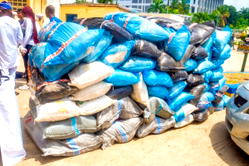Police arrest 11 suspected drug dealers in Abuja, recover 68 bags of cannabis