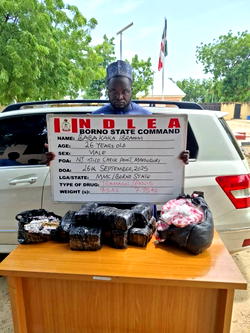 NDLEA intercepts bandits’ drug suppliers, nabs kingpins, destroys 24,000kg skunk