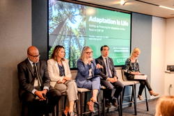 $337bn needed as Nigeria targets 32% emission reduction by 2030