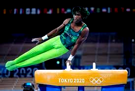 Gymnastics Crisis: COSGON raises alarm over tenure elongation