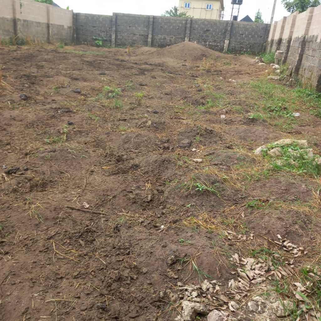 Abia farmer cries out over destruction of crops, farmland by cows