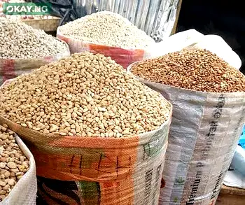 Beans farmers debunk use of cement as preservatives