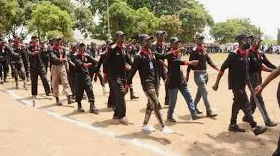 Forests are flashpoints of insecurity, NFSS warns as Presidency pushes dialogue in North-Central