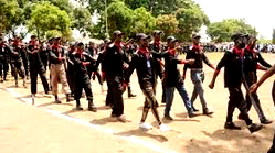 Forests are flashpoints of insecurity, NFSS warns as Presidency pushes dialogue in North-Central