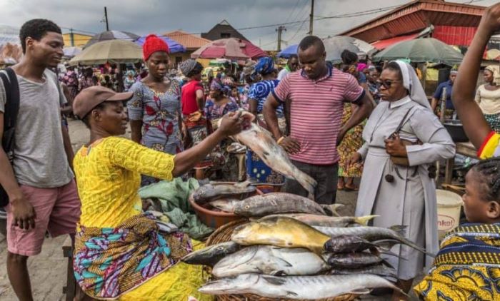 FCT residents lament soaring fish price, other protein sources