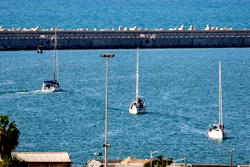 Organisers say last Gaza flotilla boat intercepted by Israel
