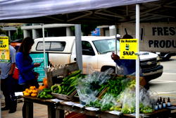 Americans facing hunger as shutdown enters second month
