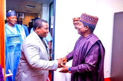Amupitan at Senate Chamber for screening
