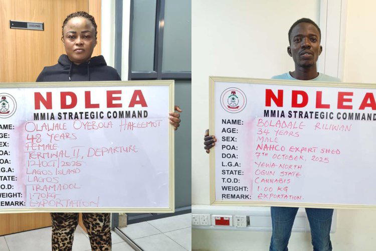 NDLEA busts US, UK-bound drug consignment, intercepts tramadol in frozen snails