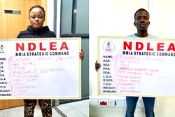 NDLEA busts US, UK-bound drug consignment, intercepts tramadol in frozen snails