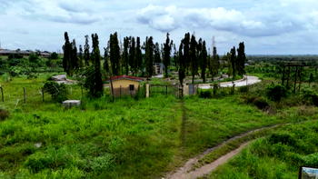 Bellview Crash at 20: Showunmi laments neglect of memorial site by govt