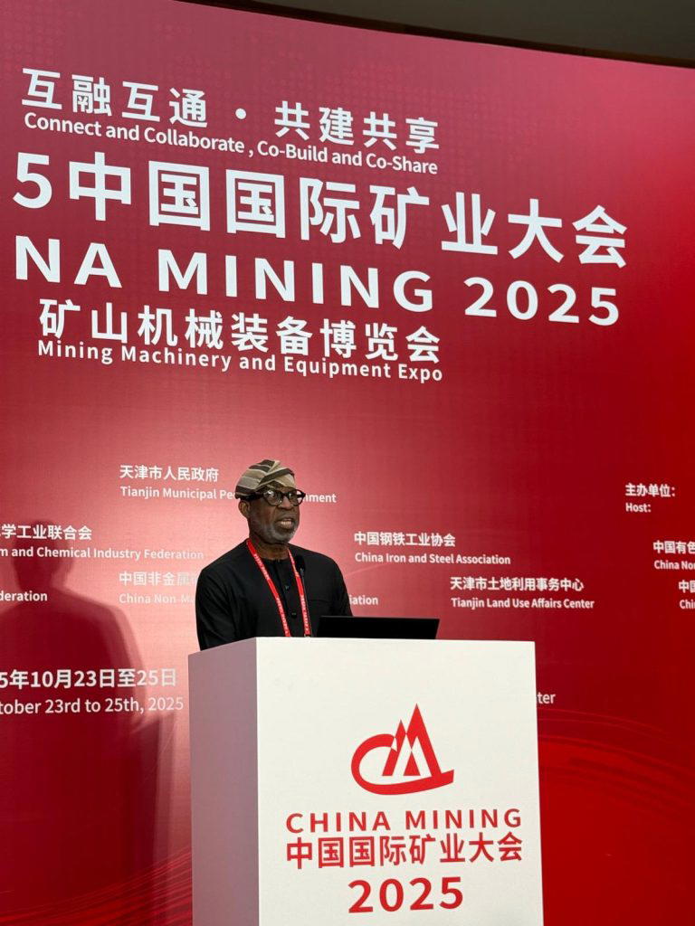Chinese investments in lithium processing hits $1.3bn – Alake