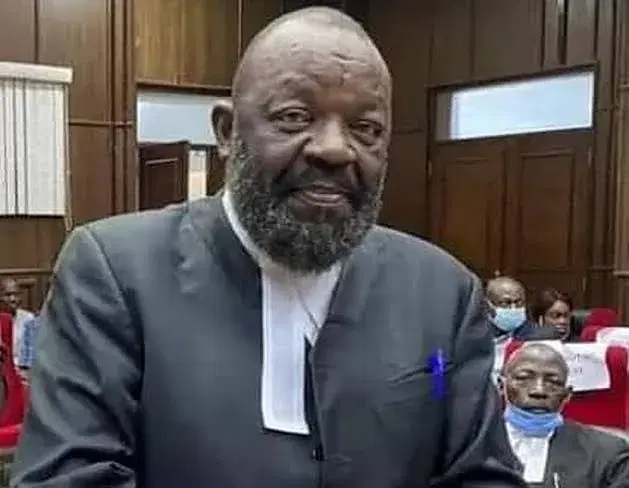 Protest: Group faults Nnamdi Kanu’s lawyer, urges NBA to review conduct