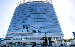 Nestoil: We are not responsible for banks’ failure to pay dividend