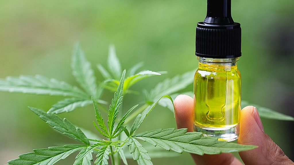 We’re open to dialogue on legalising cannabis oil – NDLEA