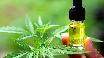 We’re open to dialogue on legalising cannabis oil – NDLEA
