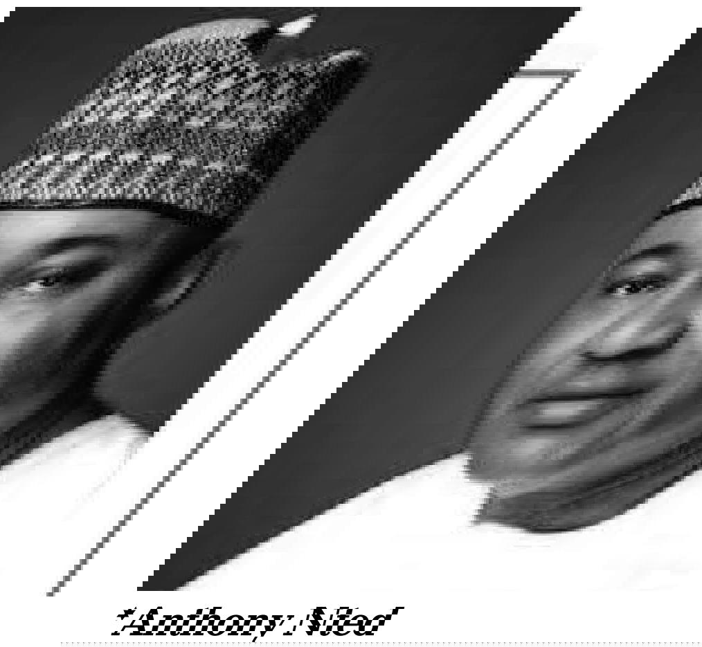 How forces in NPA, NIMASA tried to silence me by taking my jobs — Nted