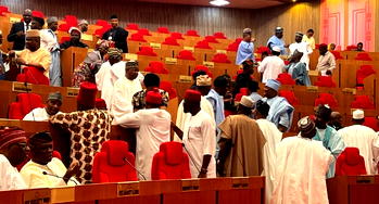 Senate commences screening of Tinubu’s career ambassadorial nominees