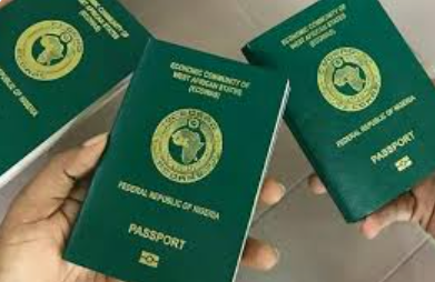 New Immigration reforms not punitive, FG assures expatriates