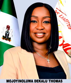 NELMCO reaffirms commitment to address power sector challenges