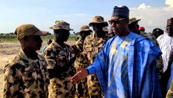 Trans-Border Security: Borno strengthens ties with Niger Republic