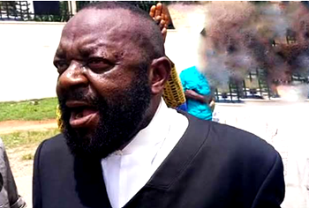 CAIDOV urges NBA to sanction Nnamdi Kanu’s lawyer over protest participation