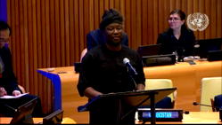 Revolution: Africa’s 1.4 billion people cannot be sidelined – Dania