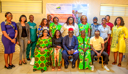 Renewable products should be accessible, gender responsive — Stakeholders