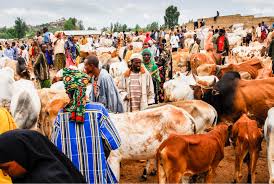 FG targets $74bn GDP boost from livestock sector