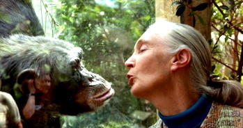 World-renowned chimpanzee expert Jane Goodall dies at 91