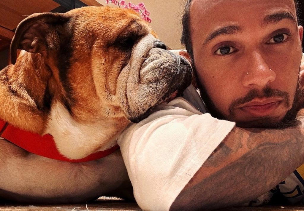 Hamilton grateful for ‘overwhelming’ response to dog Roscoe’s death