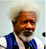 Soyinka’s life reflects Nigeria’s tempestuous history — Odumakin