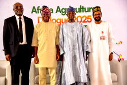 Tinubu calls for prioritization of livestock sector with adequate financing
