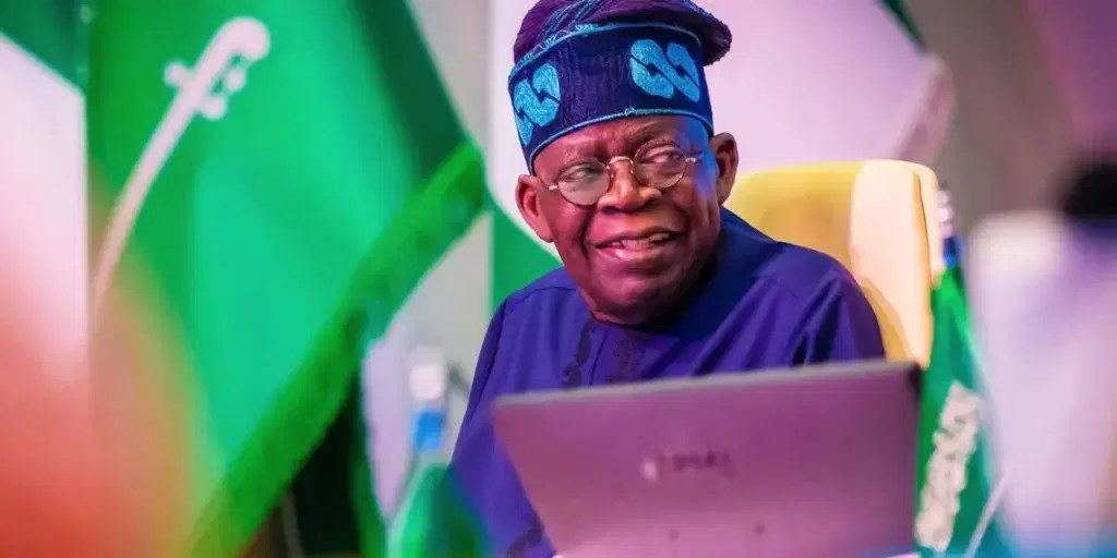 A Beautiful Nonsense: Questions for President Tinubu, by Stephanie Shaakaa