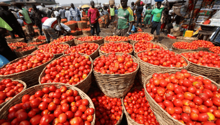 Tomato traders attribute price hike to supply challenges, poor storage